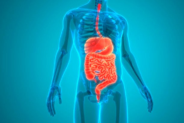 best hospital in bangalore