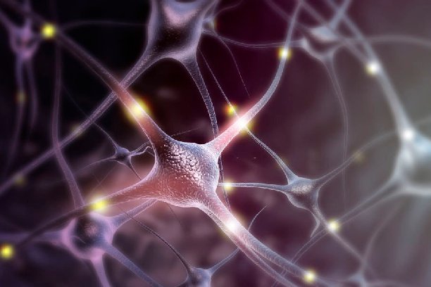 best hospital in bangalore