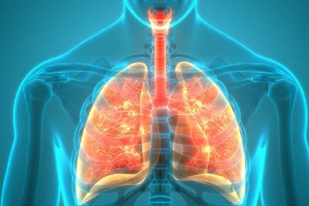 famous urologist in bangalore