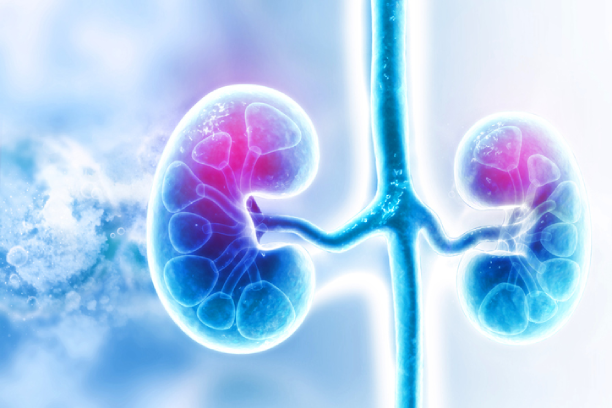 bangalore kidney stone hospital
