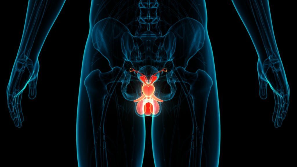 diabetic nephropathy in bangalore