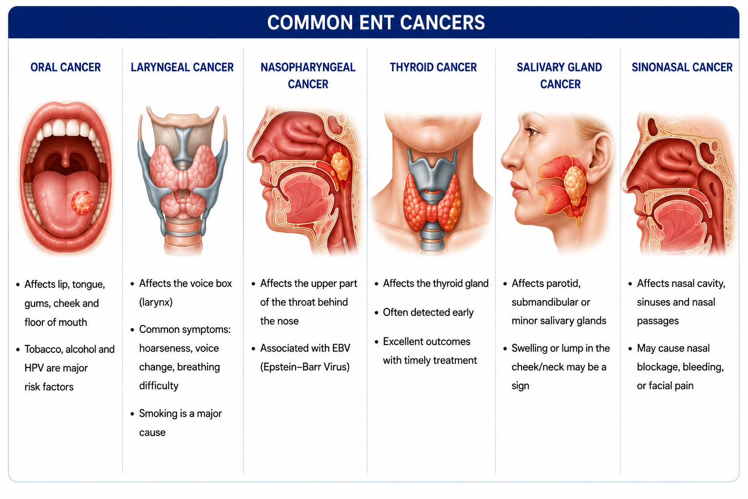 ENT oncology head and neck cancer treatment Regal Hospital Bangalore